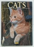 CATS by TOM HOWARD , 1991 * TEXT IN LIMBA ENGLEZA , * BOGAT ILUSTRATA
