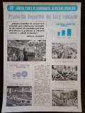 NI394 Afiș Județul Timiș pe coordonatele dezvoltării socialiste, producția de bunuri de larg consum, 1980