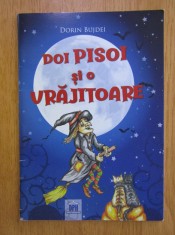 Dorin Bujdei - Doi pisoi si o vrajitoare foto