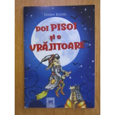 Dorin Bujdei - Doi pisoi si o vrajitoare