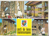 Bnk cp Porti de lem maramuresene - Vedere - circulata, Printata, Maramures