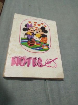 CARNET NEFOLOSIT NOU foto