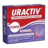 Uractiv Forte fara lactoza, 10 capsule, Terapia