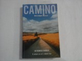 CAMINO 800 de kilometri pe jos - Veronica DRAGOI