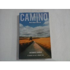 CAMINO 800 de kilometri pe jos - Veronica DRAGOI