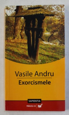 EXORCISMELE de VASILE ANDRU , 2006 foto