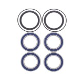 Cumpara ieftin Kit Rulmenti Roata spate Suzuki LTR Quadracer All Balls 25-1534