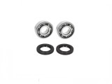 Set rulmenti ambielaj Revo Peugeot Buxy 67304 (52x20x12) + simeringuri 15.6x25.5x7 &amp; 20x30x7