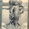 AD 457 C. P. VECHE -PARC DE VERSAILLES-LE PARTERRE D&#039;EAU-GROUPE D&#039;ENFANTS-FRANTA