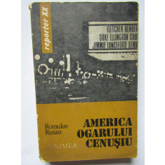 America Ogarului Cenusiu de Romulus Rusan