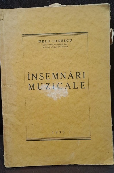 Insemnari muzicale - Nelu Ionescu