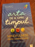 Pedram Shojai - Arta de a opri timpul. Mindfulness pentru oameni ocupati