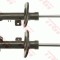TRW JGM1019T TRW TWIN amortizor