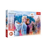 Puzzle 24 piese, Frozen Elsa si Anna, pentru copii, ATU-083296