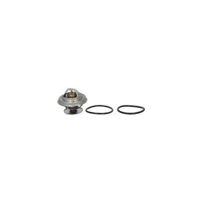 Termostat lichid racire MERCEDES-BENZ VARIO platou sasiu BEHR TX1871D foto