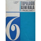 TOPOLOGIE GENERALA. PROBLEME-O. CONSTANTINESCU, C. AMIHAESEI, T. BIRSAN-348540