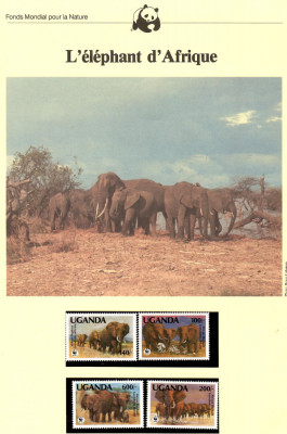 Uganda 1991 - Elefantul African, Set WWF, 6 poze, MNH, (vezi descrierea) foto