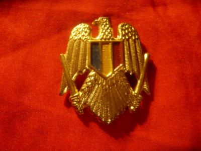 Insigna de Boneta Romania - Vultur dupa 1990 , h =4cm foto