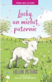 Lucky, un mielut puternic | Helen Peters