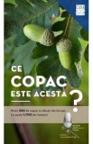 Ce copac este acesta? - Margot Spohn, Roland Spohn