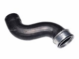 NRF 166058 Furtun ear supraalimentare