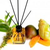 Odorizant Elegant Mango Delicios 120ml Bete Bambus Loris CNN43230