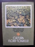 Cultura florii-soarelui Hera Cristian,Sin Gheorghe,Toncea Ion