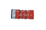 NRF 166066 Furtun ear supraalimentare