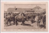 Carte postala circulata in anul 1916 Sibiu