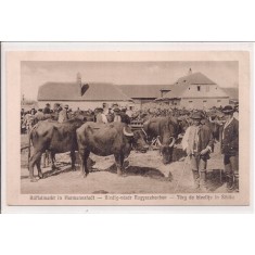 Carte postala circulata in anul 1916 Sibiu