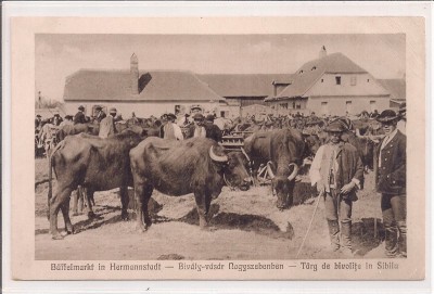 Carte postala circulata in anul 1916 Sibiu foto