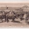 Carte postala circulata in anul 1916 Sibiu