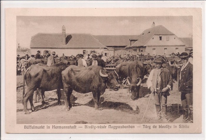 Carte postala circulata in anul 1916 Sibiu