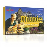 Extract purificat de rasina Mumie, 60 tablete, Damar