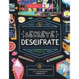 Secrete descifrate. Interiorul extraordinar al lucrurilor obisnuite, Peter Hincley, Niculescu