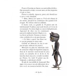 Ninja Timmy si calatoria spre Sansoria, Henrik Tamm, 216 pagini, 2019, ilustrata, 8+, Polirom, colectia Junior, coperta cartonata