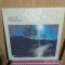 -Y- CIPRIAN PORUMBESCU - CRAI NOU ( EX+ ) DISC VINIL