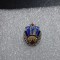 insigna Flacara Ploiesti