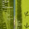 Rubber Boots Methods for the Anthropocene: Doing Fieldwork in Multispecies Worlds