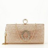 Cumpara ieftin Geanta clutch sampaniu cu brosa BYH-8815 05