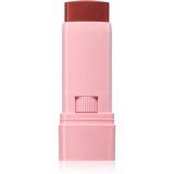 Astra Make-up IDENTISTICK blush cremos stick 04 - Rust Root 1 buc