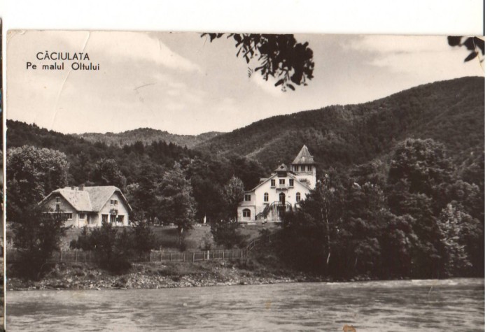 CPIB 22647 - CARTE POSTAL - CACIULATA. PE MALUL OLTULUI, RPR