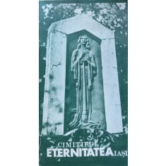 Cimitirul Eternitatea Iasi - Colectiv , A1080