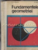 Fundamentele Geometriei - N. N. Mihaileanu, M. Neumann (1973) Didactica si Pedagogica - Carte Matematica