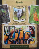 BC571, Sierra Leone 2016, colita fauna, pasari, Nestampilat