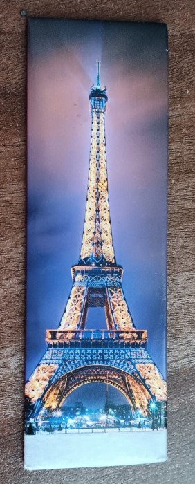 D4 - Magnet frigider - tematica turism - Franta 6