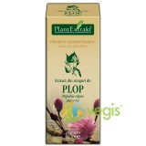 EXTRACT MUGURI PLOP 50ML