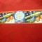 Straif cu vigneta 1978 URSS Cosmos -Statia Saliut 6