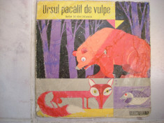 Ursul pacalit de vulpe-vinil mic foto