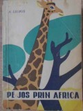 Pe Jos Prin Africa - A. Liubos, 1964, Editura Tineretului, Geografie, Carte in Romana